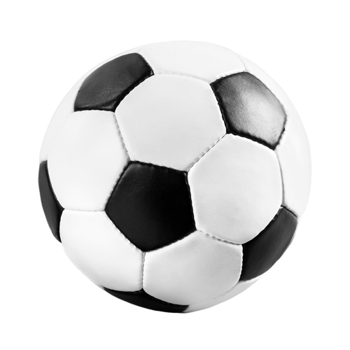 Sporten