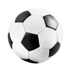 Sporten