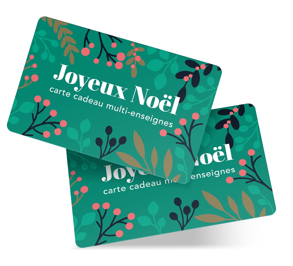 Laissez le destinataire choisir parmi plus de 205+ cartes cadeaux