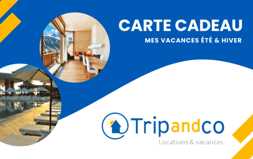 trip and co