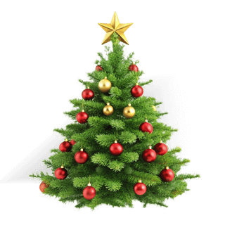 Cartes Cadeaux de Noël 