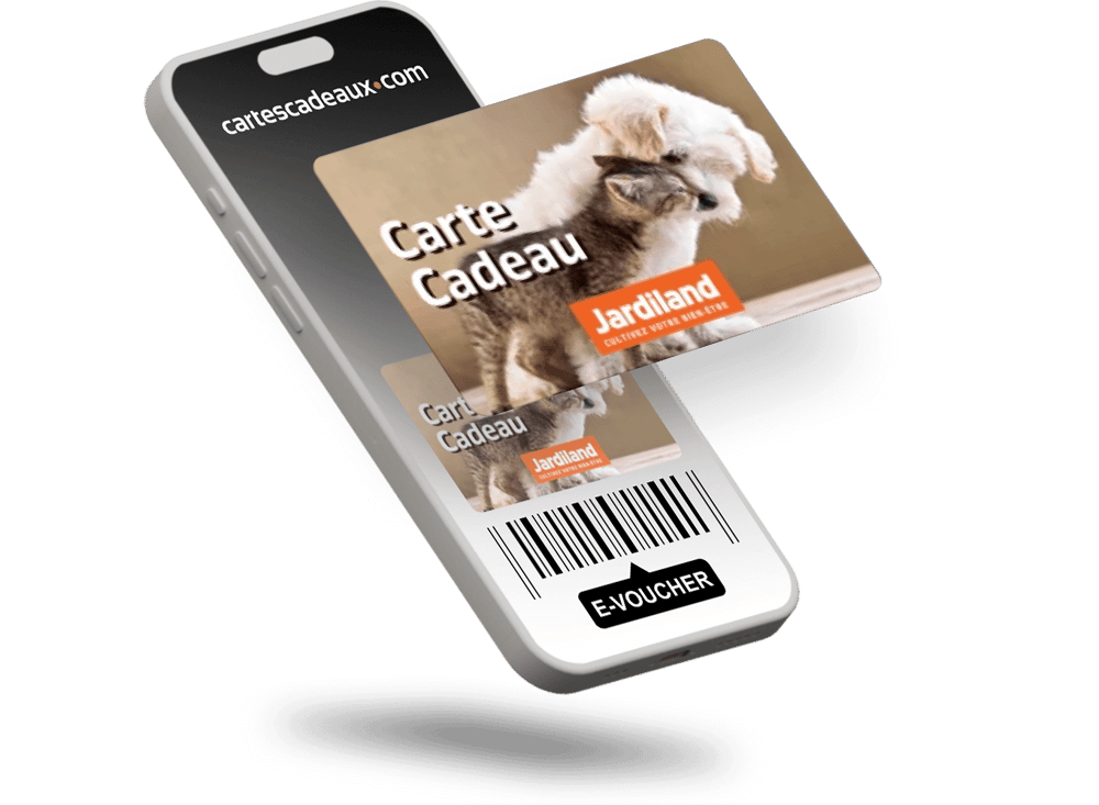 E-voucher